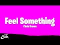 Chris Brown - Feel Something (Lyrics)