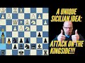 Attacking on the kingside in the kan introduction to a cool strategy