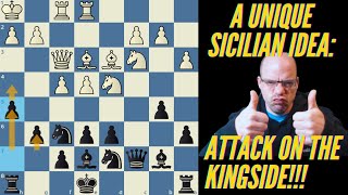 Attacking on the kingside in the Kan! Introduction to a cool strategy!