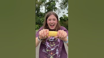 Muziek maken met willekeurige dingen 🎸🎵