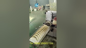 半自动饺子机 #煎饺生产线 #gyozamachine #dumplingmachine