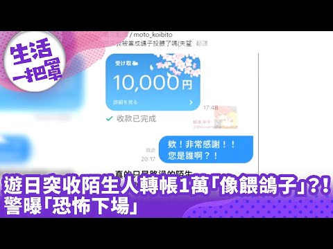 《生活一把罩》遊日突收陌生人轉帳1萬「像餵鴿子」？！ 警曝「恐怖下場」