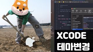 엑스코드 테마 설치 & 변경하기! #꿀팁 screenshot 3