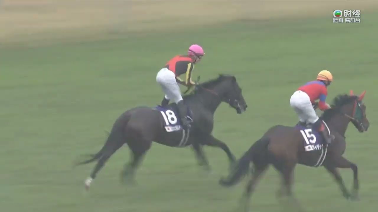 日本女皇伊利沙伯二世盃 Queen Elizabeth II Cup 一級賽 G1 2200m 2022-11-13 吉典娜 Geraldina 阪神競馬場 Hanshin Racecourse