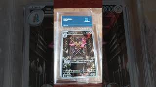 Doublade appears to have found the one place where nobody questions why it has swords for hands #tcg Doublade appears to have found the one place where nobody questions why it has swords for hands #tcg