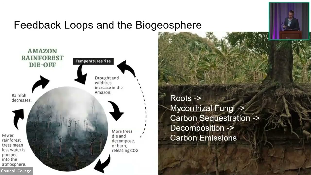 Using plant physiology to understand how changing fire regimes may alter carbon sequestration
