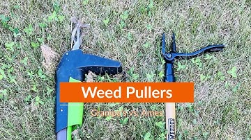 Grampa Stand Up Weed Puller Tool Reviews and Demo: Comparing with AMES