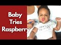 Baby first time trying raspberry #shorts #babyreactionvideo