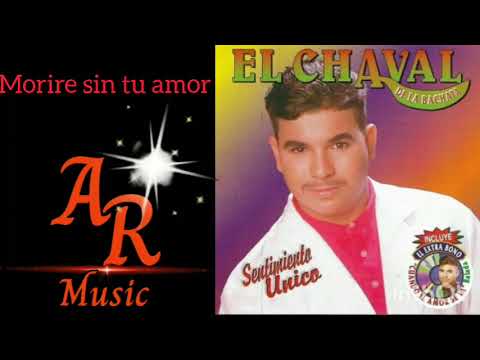 Putar Morire Sin Tu Amor - El Chaval De La Bachata