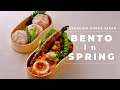 [ASMR] Japanese BENTO BOX in Spring | BENTO | Takoshiho Cooks Japan