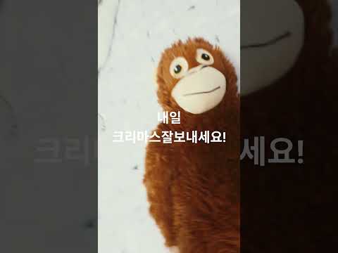 메리크리스마스~#크리스마스#좋아요댓글 #추천추천추천추천 #monkey