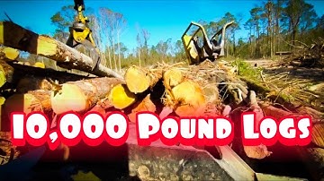 Can It Load 10,000 Pound Mega Logs | Tigercat 234B