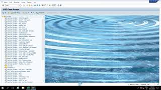 SAP BW on HANA : Transactional Data load Part2 Write Optimized DSO