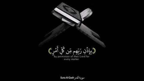 ياسر الدوسري حالات واتس 🎧 | سورة القدر - إِنَّا أَنْزَلْنَاهُ فِي لَيْلَةِ الْقَدْر 💚💚