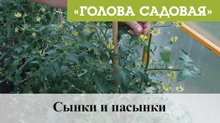 Голова Садовая - Сынки и пасынки