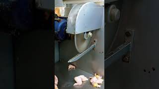 Amazing chicken cutting style in machine |#shorts #butcher #chicken #cutting #viral #video #amazing
