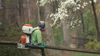 ★ Pest Control Services In - Mosquito Control Services In Pasadena Texas ★