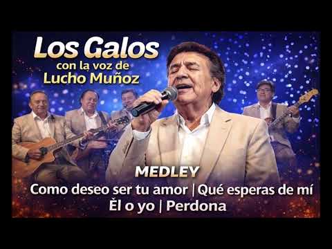 🔥 Los Galos con Lucho Muñoz – Los Éxitos que Hicieron Llorar a una Generación