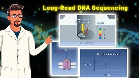 Understanding Long-Read Sequencing: An Introduction to Third-Generation Sequencing Technologies