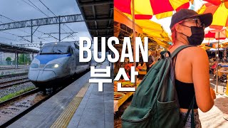 Bullet Train Trip to Busan South Korea | How to Reserve the KTX, Jagalchi Market, Haeundae Nightlife