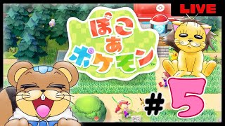 【ぽこあポケモン】♯5　なんかすげえとこきた