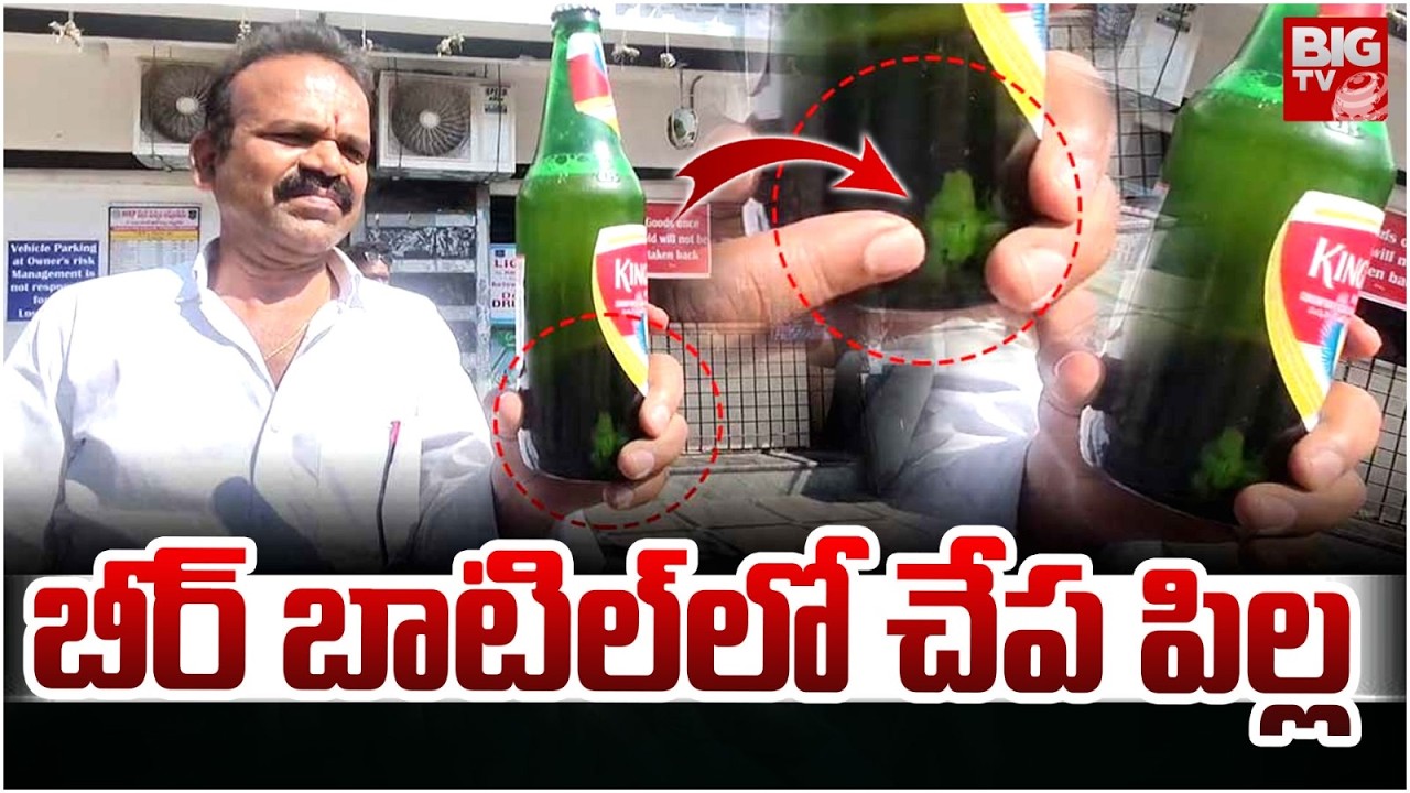Viral Video : Fish in Beer Bottle | బీర్ బాటిల్‌లో చేప పిల్ల | JP Wines | BIG TV