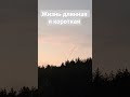 Запомни и подпишись 👆#цитатыпрожизнь #хочуврек #топ #shortvideo #vlog #rek #vlogsvideo #реки #рек