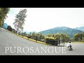 Downhill longboarding with Purosangue