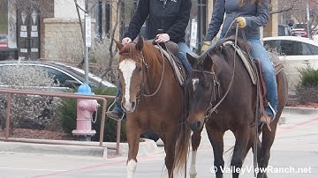Boy Named Betsy and Annie - riding in town! - ValleyViewRanch.net