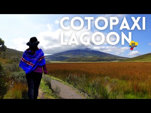 BEAUTIFUL Cotopaxi Walk Around Laguna Limpiopungo | ECUADOR Travel