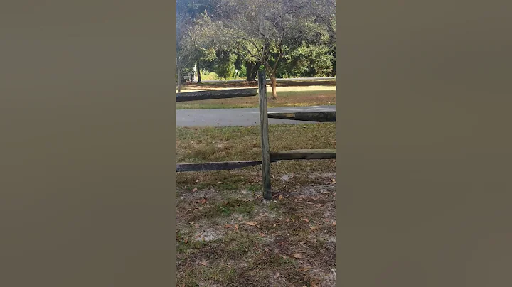 Jumping off fence gone wrong
