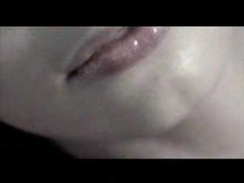 Universe Video