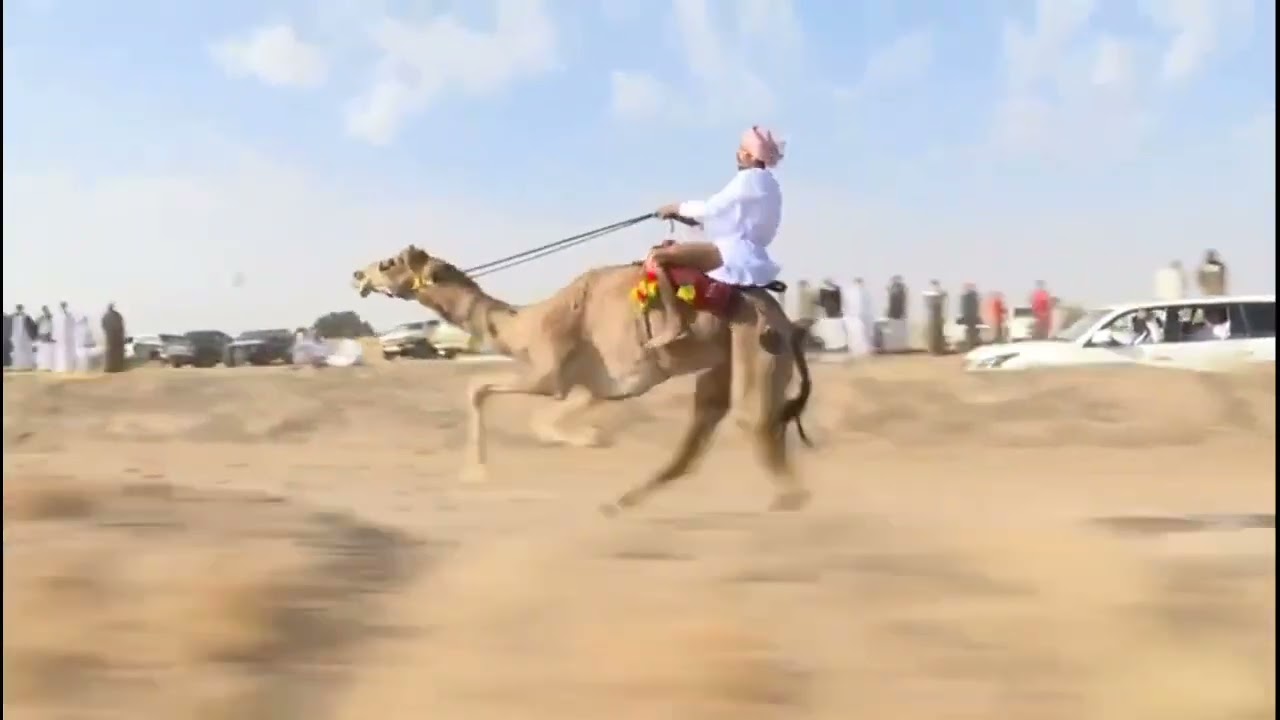 الشاعر محمد الجابري 