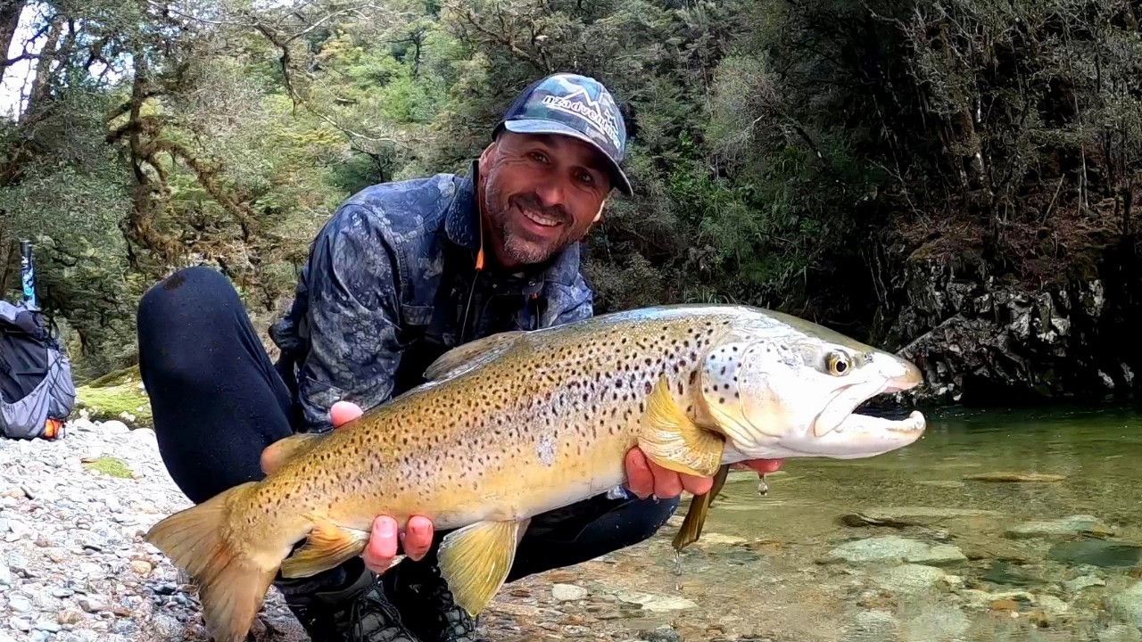 BIG Brown Trout on Dries | New Zealand Fly Fishing