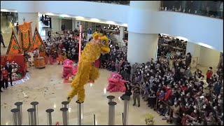 2023-Jan-30#香港中國農曆新年 醒獅表演#HongKongChineseLunarNewYear #LionDance Performance @ Pacific Place 金鐘#太古廣場