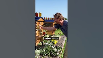 FINAL HOURS 💛 Our sweetest offer of the year.