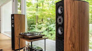 Хлам уровня Hi-Fi от Jamo D590