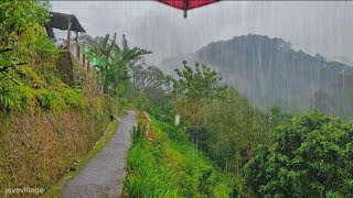 ฝนตกหนักถล่มหมู่บ้านบนภูเขาอินโดนีเซีย||หลับไปใน 10 นาที