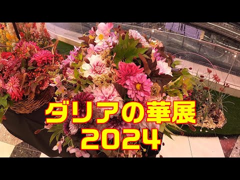 ダリアの華展２０２４【置農チャンネル#320】