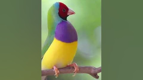 تلاوت زیبای سوره مبارکه فرقان آیه 61 و قدرت خلقت پروردگار