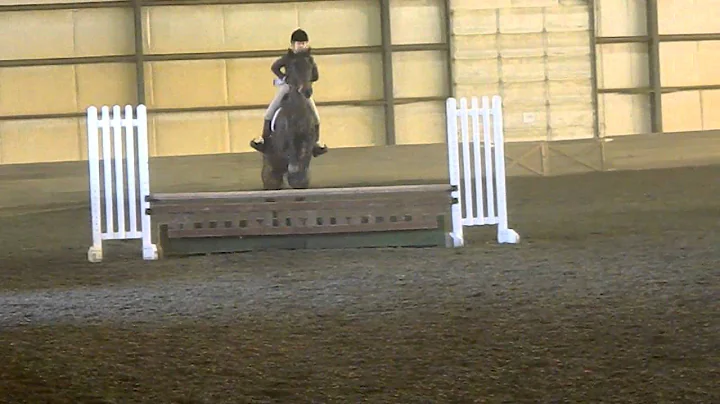 Lelia on Strider over fences @ finals