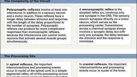Chapter 12 - The Spinal Cord and Spinal Nerves - Part 2