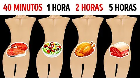 ¿Cuál de los tres alimentos permanece más tiempo en el estómago? ¿Por qué?