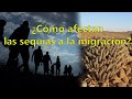 La relación entre sequía y migración - Divulgador Molecular
