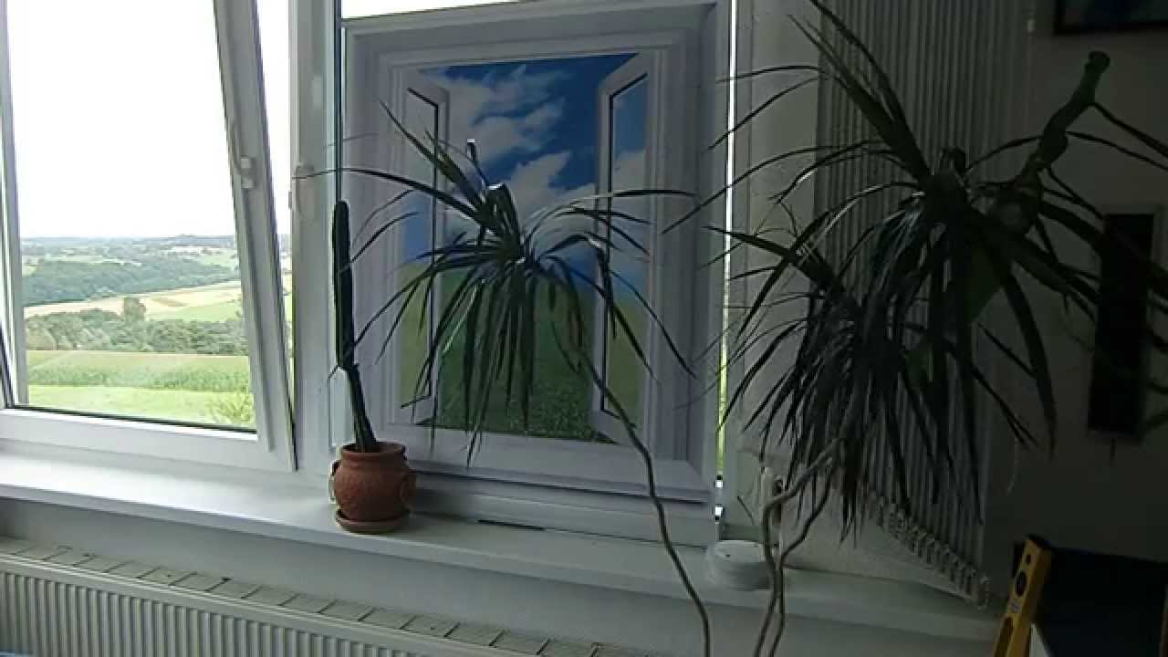 Fotorollo Sonnenschutz mobil zum Stellen als Verdunkelung - Sichtschutz - Dekoration