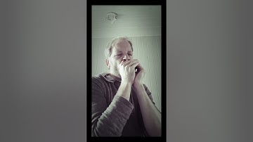 Boil them Cabbage Down - Harmonica (+Tabs)