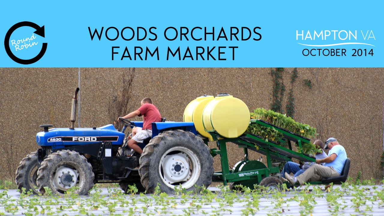 Small Business Spotlight Wood's Orchards Farm Market YouTube