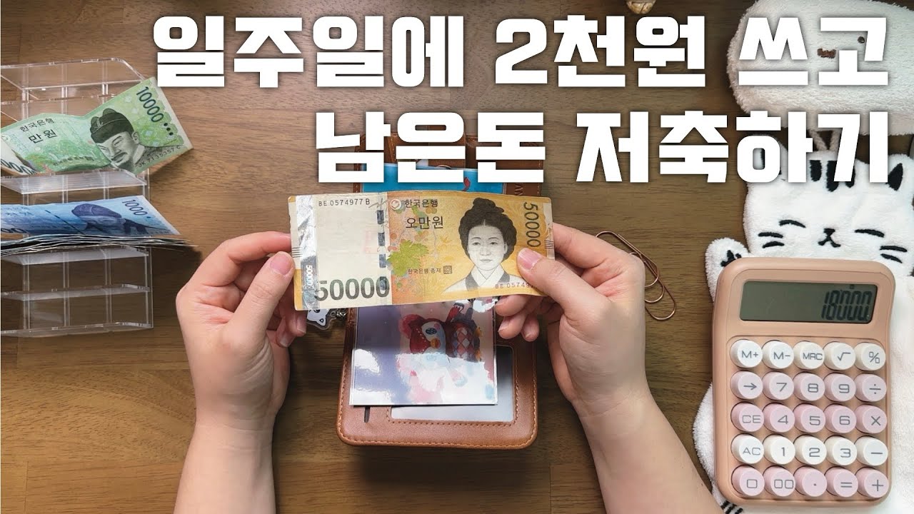 현금생활하면 돈 아끼냐구요? 일주일에 2천원 씀  l 2월 3주차 정산하고 2월 4주차 예산짜기