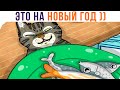 ЭТО НА НОВЫЙ ГОД))) Приколы с котами | Мемозг 937