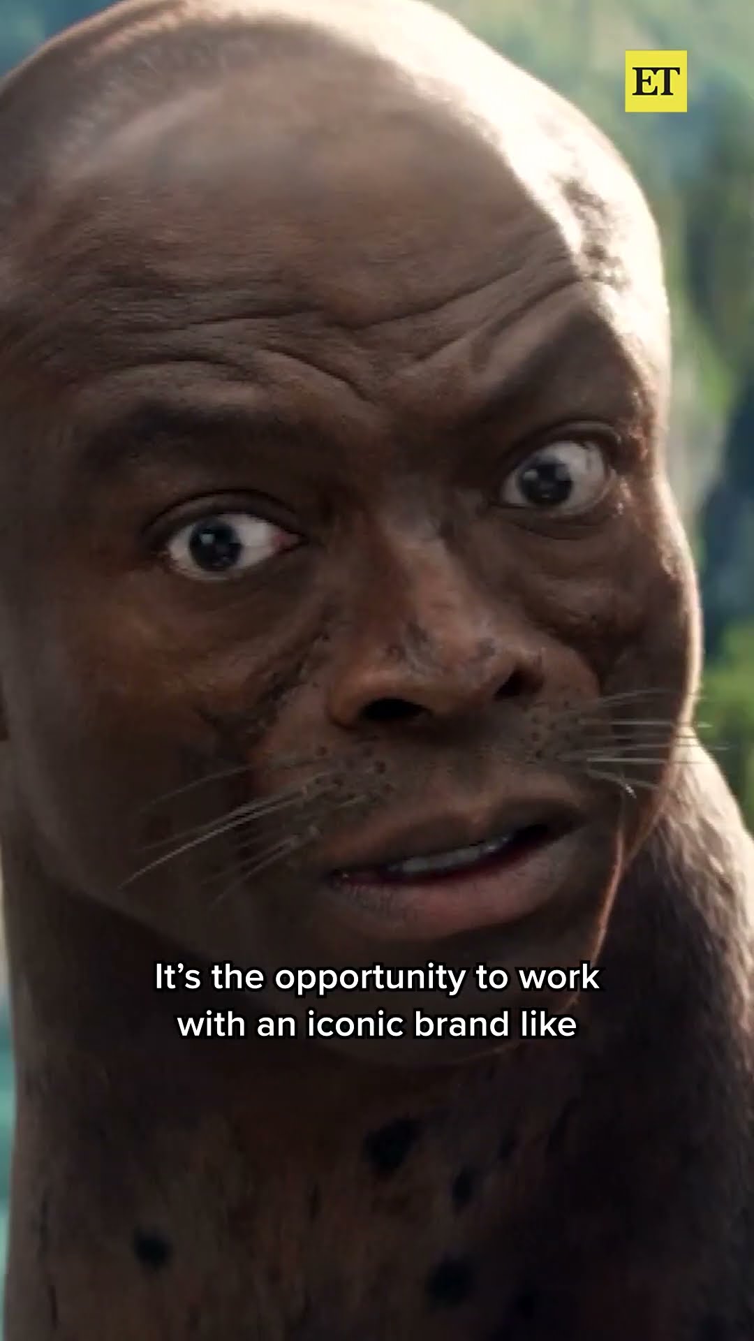 An Exclusive BTS Look at Seal's Super Bowl Commercial #seal #superbowl #shorts